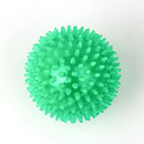 Pet Squeak Ball