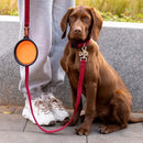 Portable Pet Food Bowl