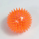 Pet Squeak Ball