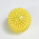 Pet Squeak Ball