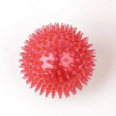 Pet Squeak Ball
