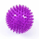 Pet Squeak Ball